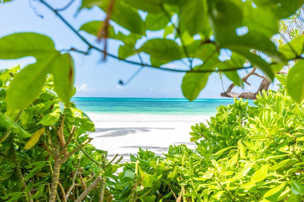 Surfescape Zanzibar Leilighet Kiwengwa  Eksteriør bilde