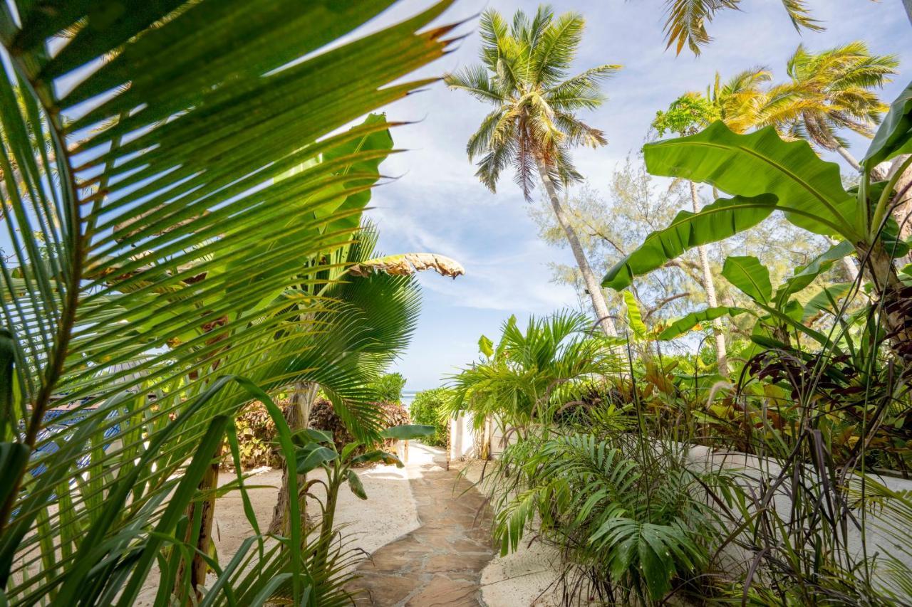 Surfescape Zanzibar Leilighet Kiwengwa  Eksteriør bilde