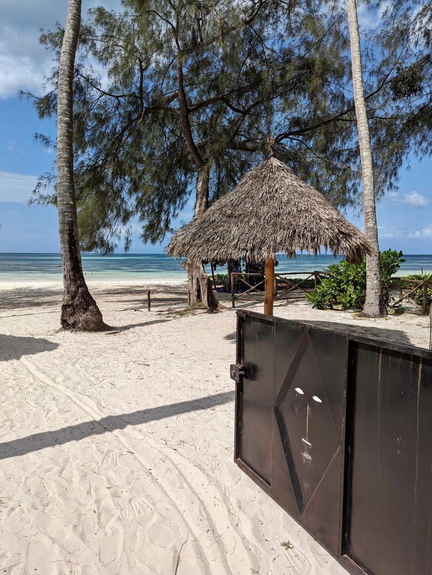 Surfescape Zanzibar Leilighet Kiwengwa  Eksteriør bilde